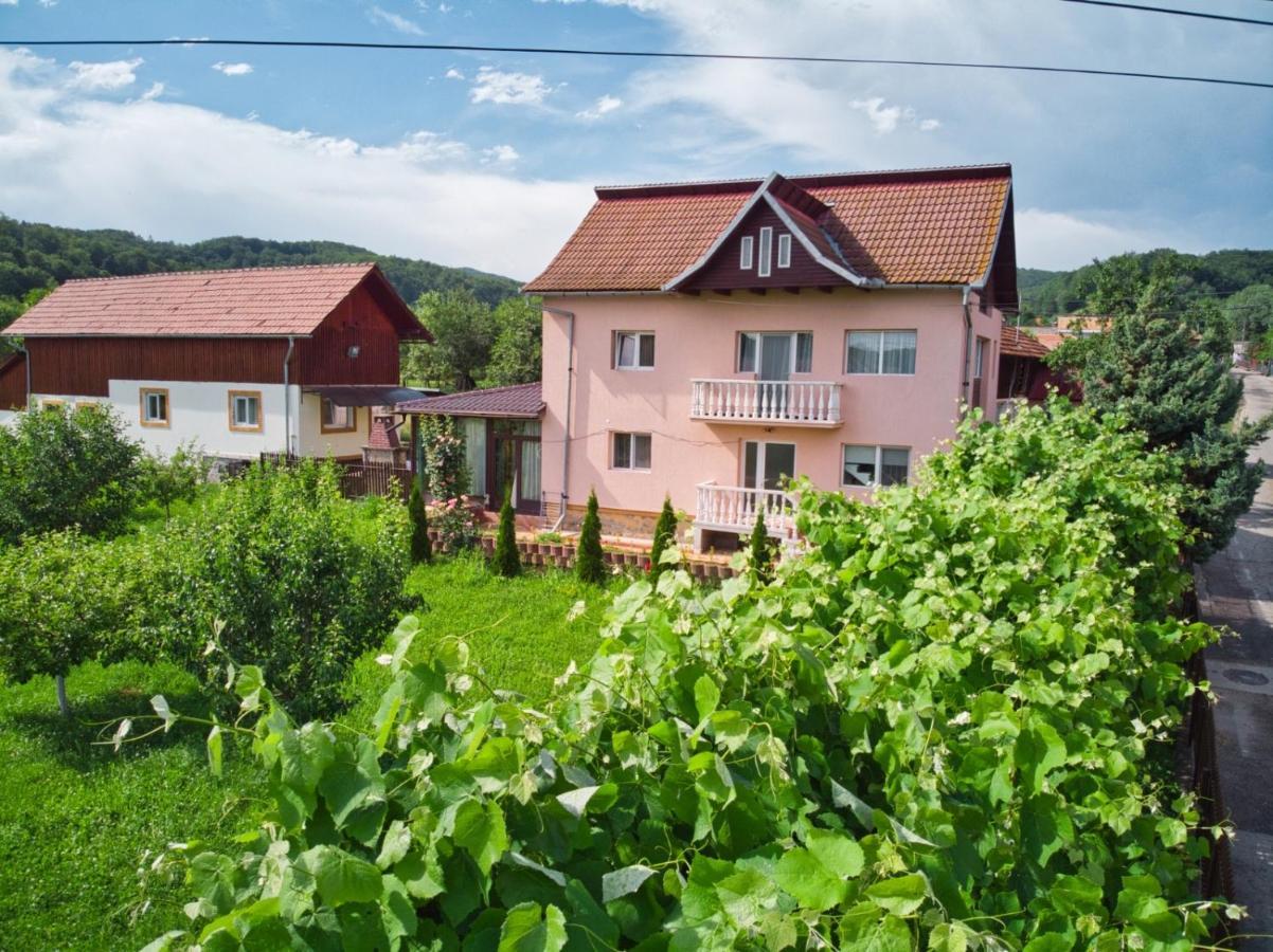 Vila Teo Barasti Bagian luar foto